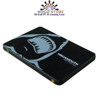 Ổ cứng SSD SSTC SATA III 128GB M110 BH 36 Tháng