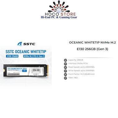 Ổ Cứng SSD NVMe SSTC E130 PCI-E Gen 3 256GB
