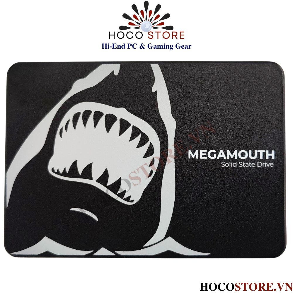 Ổ Cứng SSD SATA 1TB SSTC MEGAMOUTH SATA III